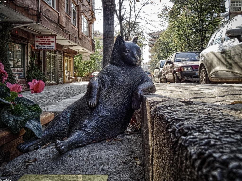 សារៈសំខាន់នៃដំណឹងពាក់ព័ន្ធក្នុងជីវិតប្រចាំថ្ងៃ