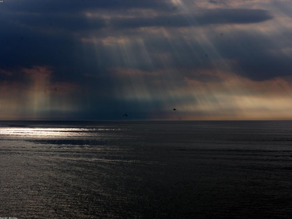 វិភាគព័ត៌មានថ្មីៗ៖ សកម្មភាព និងការប្រែប្រួលនៅពេលបច្ចុប្បន្ន