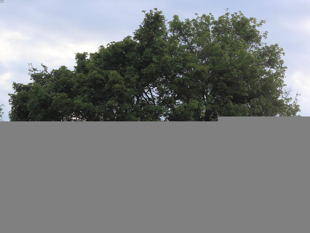វិធីសាស្ត្រដែលមានប្រសិទ្ធភាពសម្រាប់ការពិភាក្សា