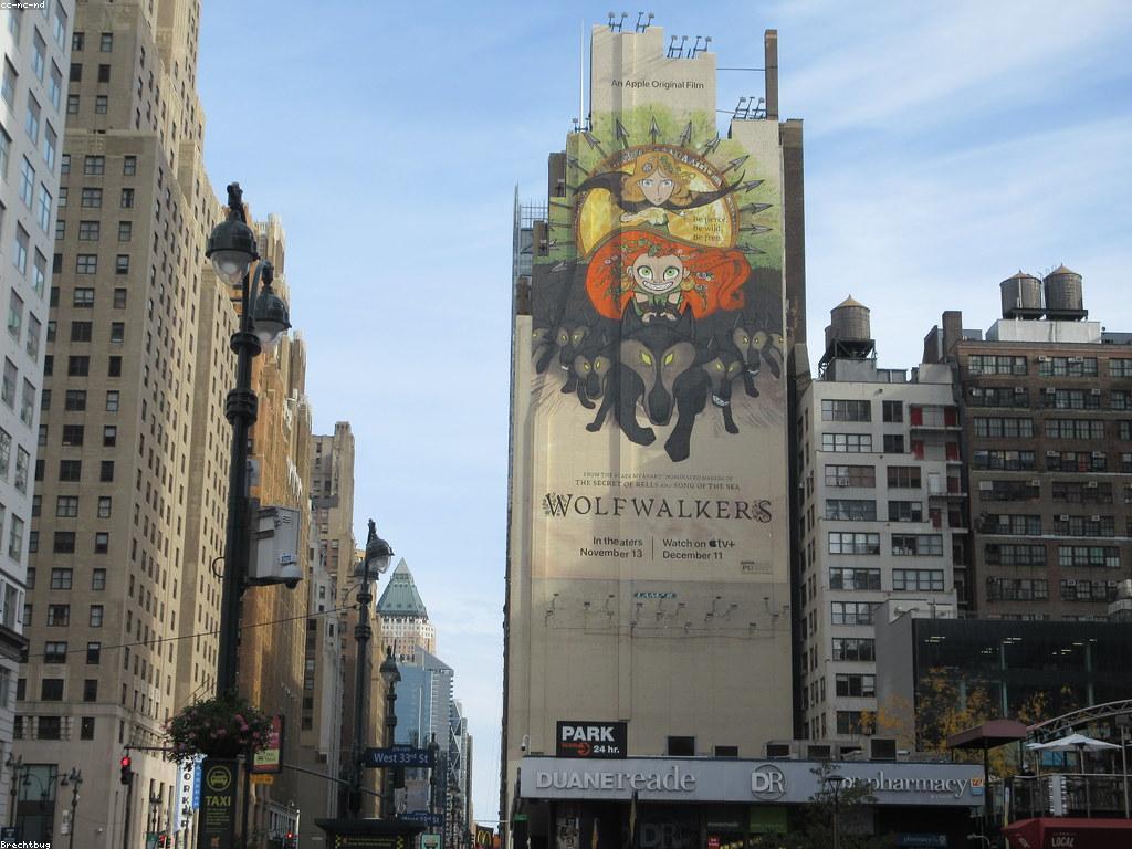 ព័ត៌មានថ្មីៗ៖ លទ្ធផលនៃការជ្រើសរើស និងអ្វីដែលពួកគេចង់ដឹង